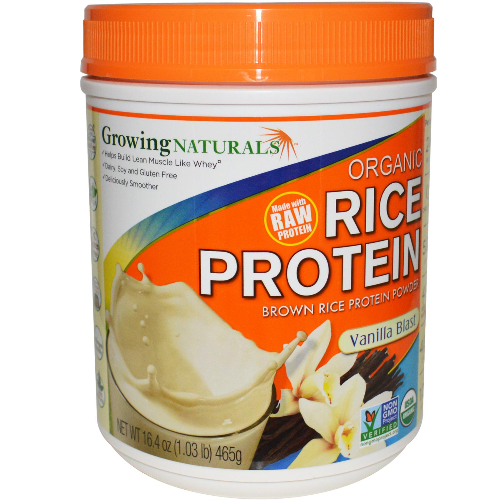 Rice Protein versus Whey Protein • Health Annotation